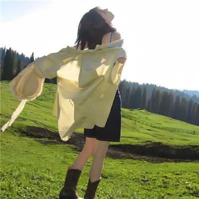 雪山飞狐